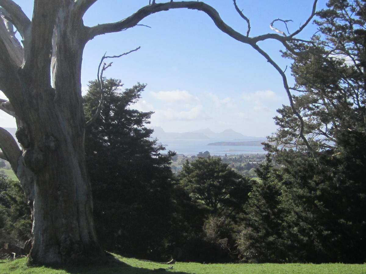 Hyecroft Lodge Whangarei Exterior photo