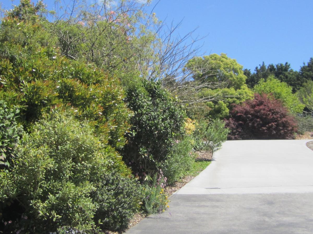Hyecroft Lodge Whangarei Exterior photo